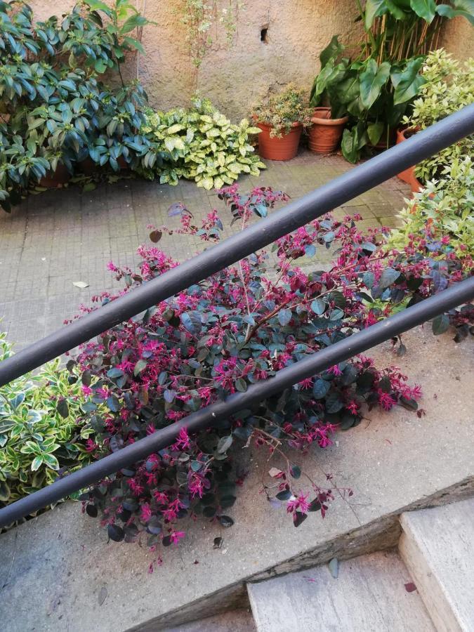 Tra Gianicolo E Trastevere Rome Buitenkant foto