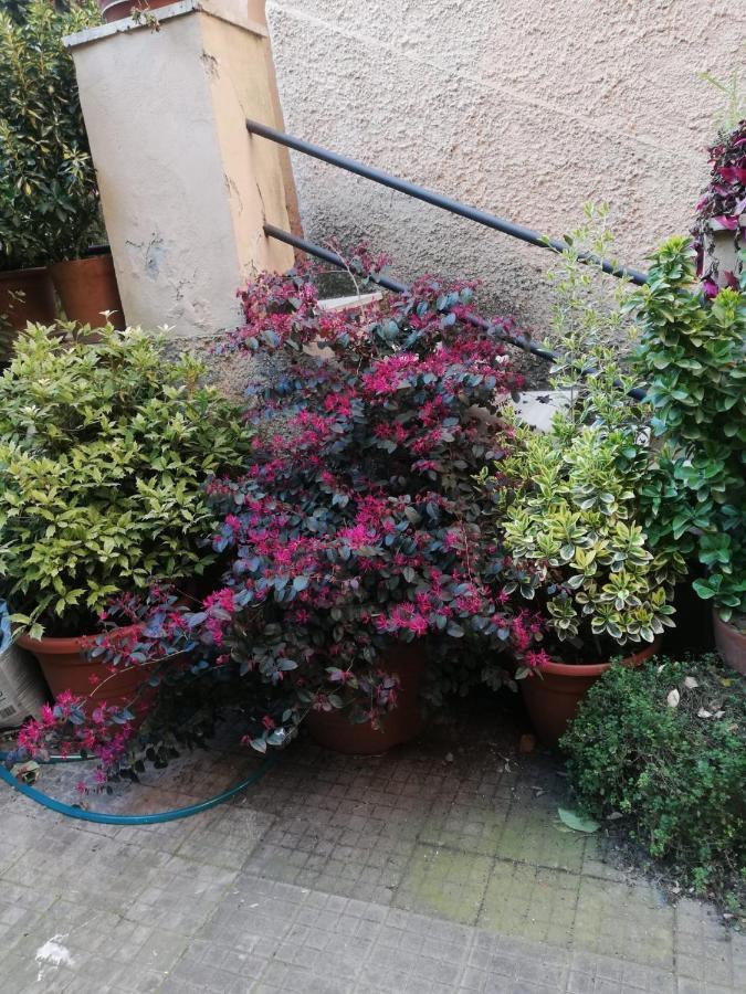 Tra Gianicolo E Trastevere Rome Buitenkant foto