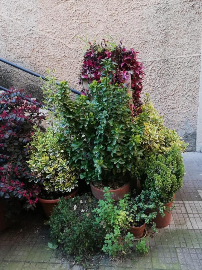 Tra Gianicolo E Trastevere Rome Buitenkant foto