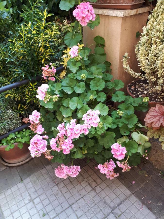 Tra Gianicolo E Trastevere Rome Buitenkant foto