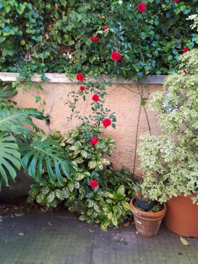 Tra Gianicolo E Trastevere Rome Buitenkant foto